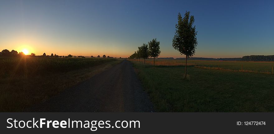 Sky, Road, Field, Dawn