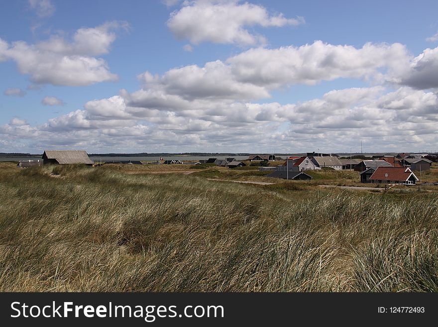 Cloud, Sky, Grassland, Ecosystem