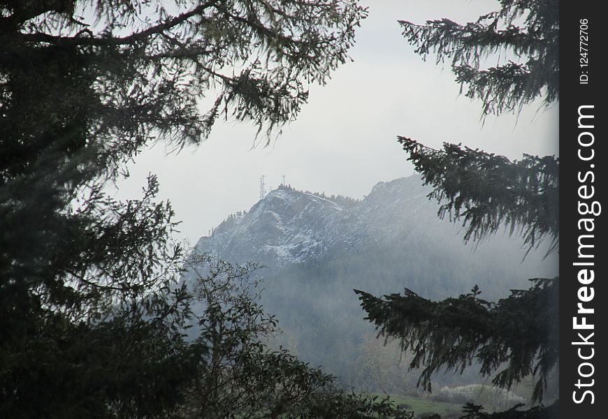 Tree, Mountainous Landforms, Sky, Mountain