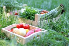 Two Wooden Boxes With Fresh Vegetables On Green Grass. Autumn Ha Royalty Free Stock Photography