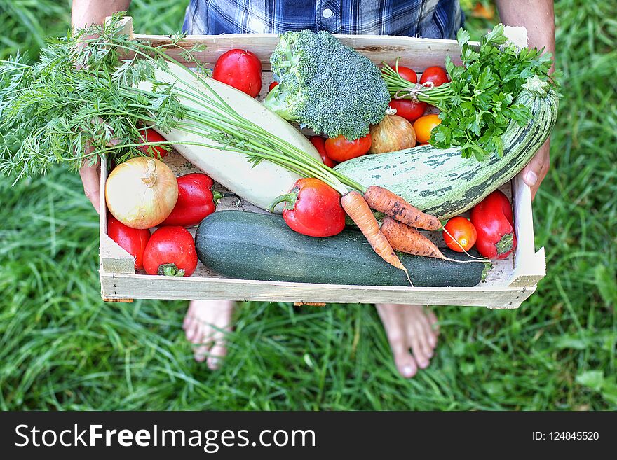 Barefoot farmer keeps a box of vegetables. Autumn harvesting concept. Top view.