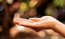 Human Open Empty Hands With Palms Up On Nature Bokeh Background Stock Images Human Open Empty Hands With Palms Up On Nature Bokeh Background Stock Images