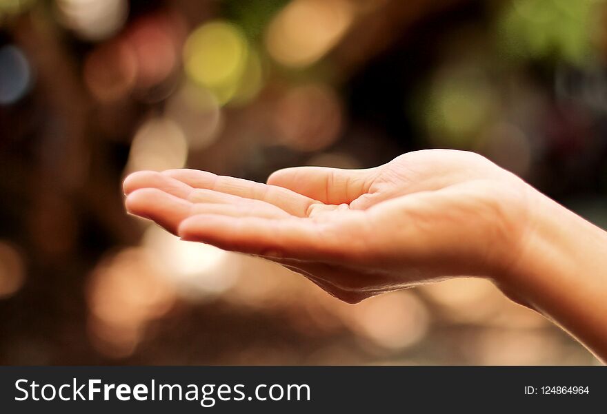 Human Open Empty Hands With Palms Up On Nature Bokeh Background