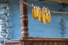 Corn Hanging On A Bar And Drying On A Terrace Royalty Free Stock Images