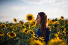 Girl In A Blue Dress In Field Of Sunflowers Royalty Free Stock Image Girl In A Blue Dress In Field Of Sunflowers Royalty Free Stock Image