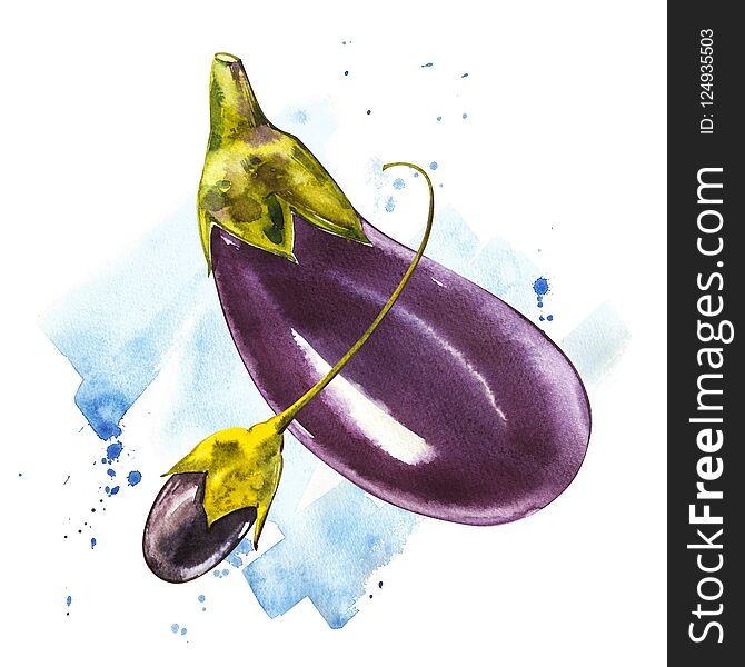 Eggplant. Hand drawn watercolor painting on white background. Watercolor illustration with a splash.