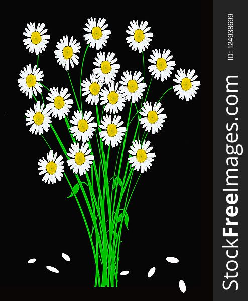 Flower, Oxeye Daisy, Flowering Plant, Plant