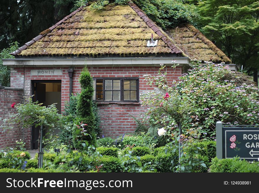 Cottage, House, Home, Flower