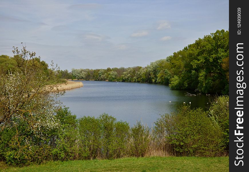 Nature Reserve, Ecosystem, Vegetation, Reservoir