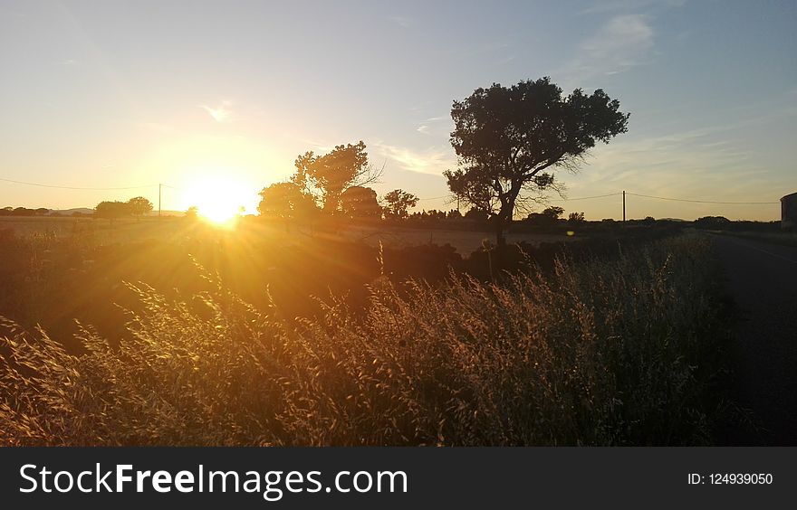 Sky, Field, Sun, Sunrise