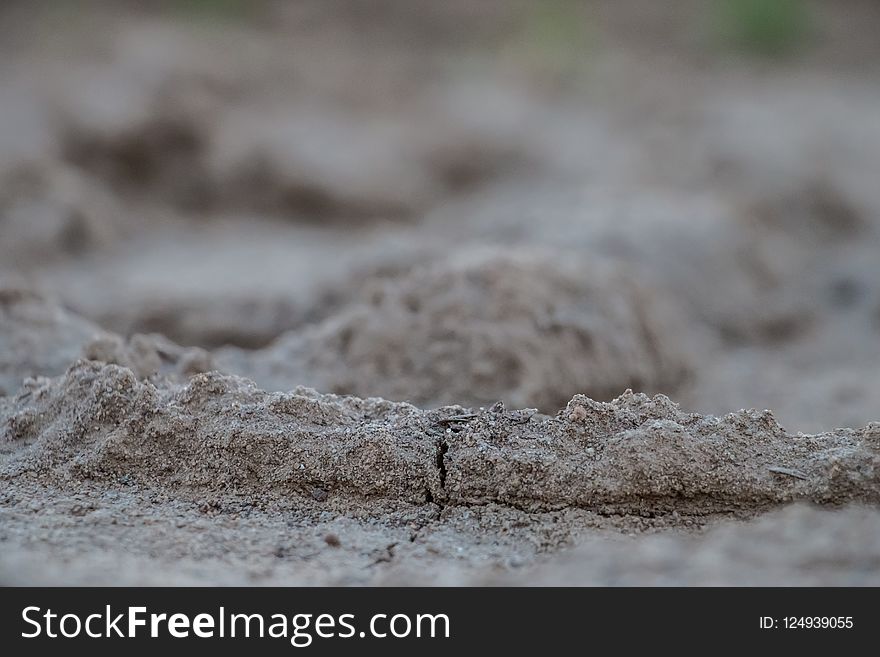 Soil, Close Up