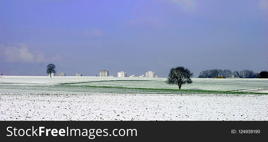 Sky, Field, Shore, Tree