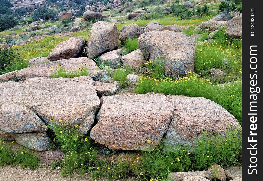 Rock, Vegetation, Boulder, Bedrock