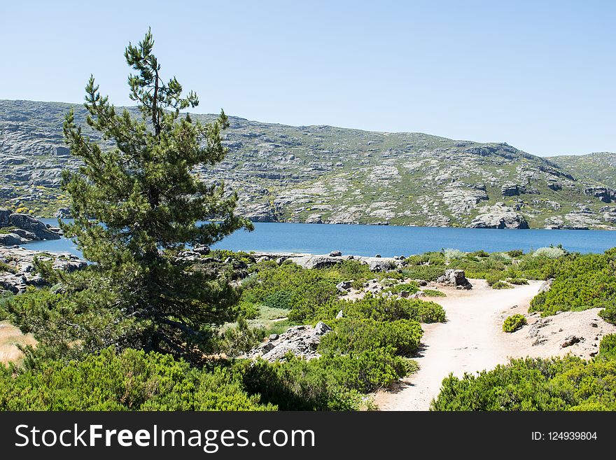 Nature Reserve, Wilderness, Lake, Vegetation