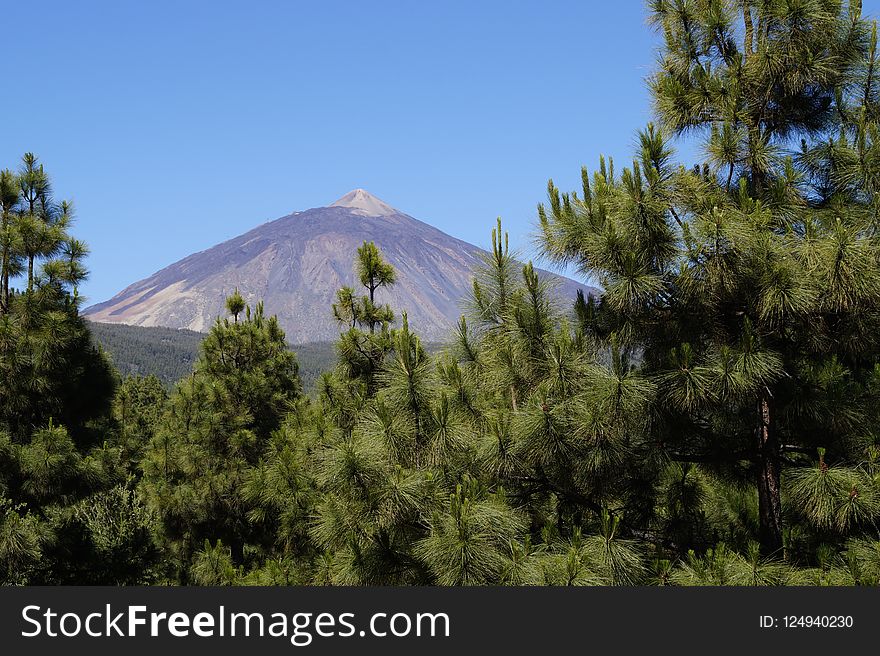 Wilderness, Vegetation, Tree, Mountainous Landforms