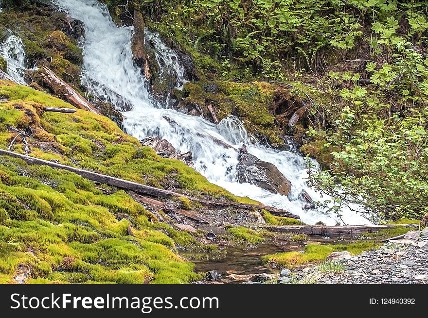 Waterfall, Nature Reserve, Body Of Water, Vegetation