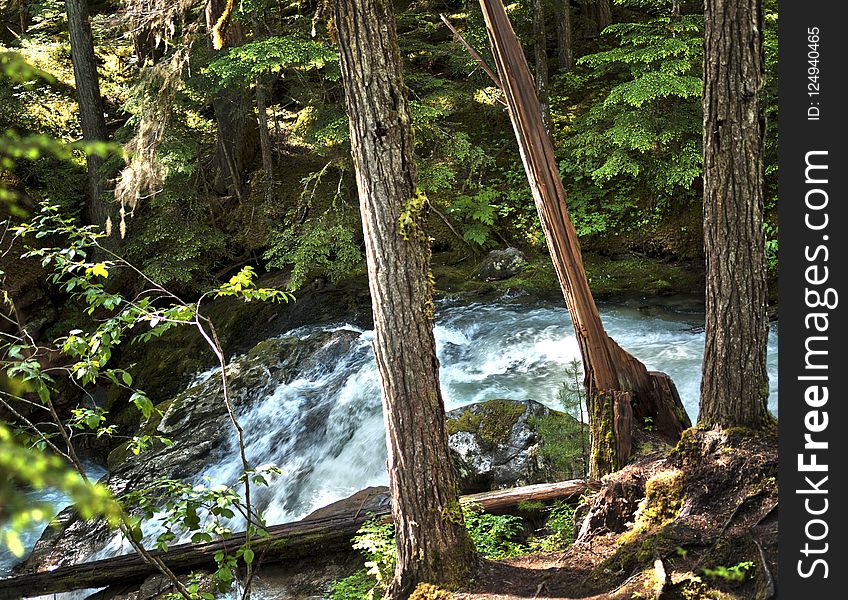 Water, Nature, Body Of Water, Nature Reserve