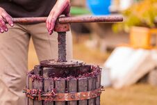 Man Hands Operating The Press, Homemade Wine Production Stock Photography
