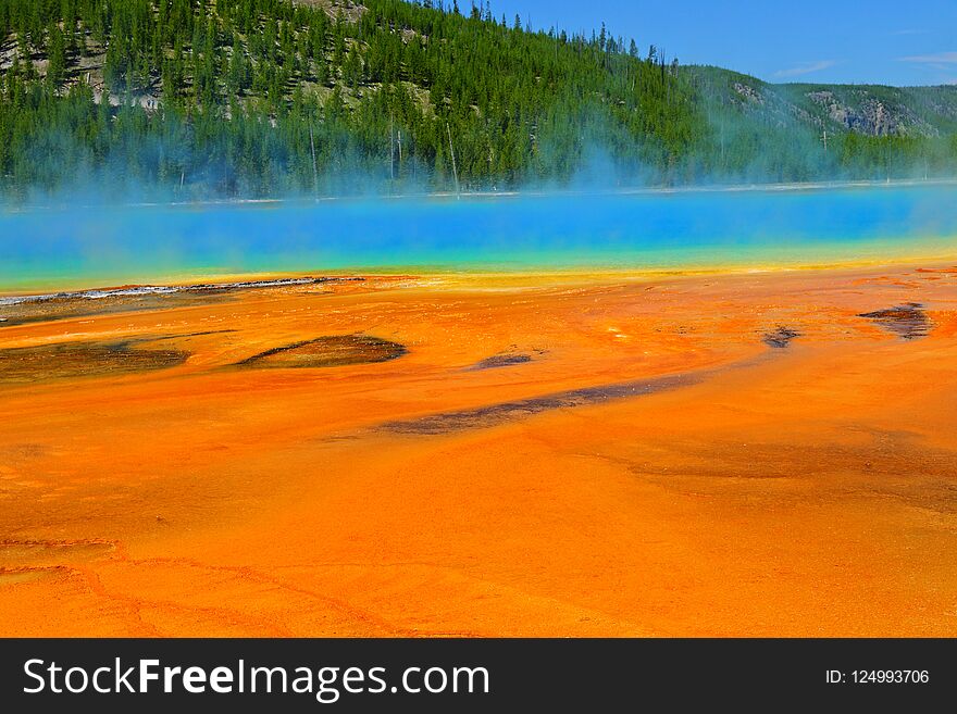 Grand Prismatic Spring In Yellowstone National Park Wyoming,