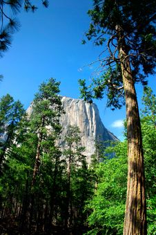 El Capitan, Yosemite National Park Royalty Free Stock Photography El Capitan, Yosemite National Park Royalty Free Stock Photography