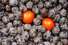 The Tomatoes In Plums Royalty Free Stock Photography The Tomatoes In Plums Royalty Free Stock Photography