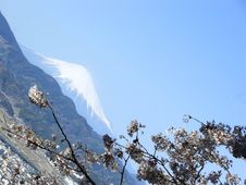 Mt. Fuji And Sakura Stock Photography Mt. Fuji And Sakura Stock Photography