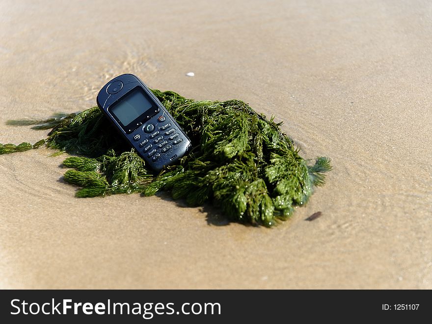 Mobile-Phone was washed ashore. Mobile-Phone was washed ashore