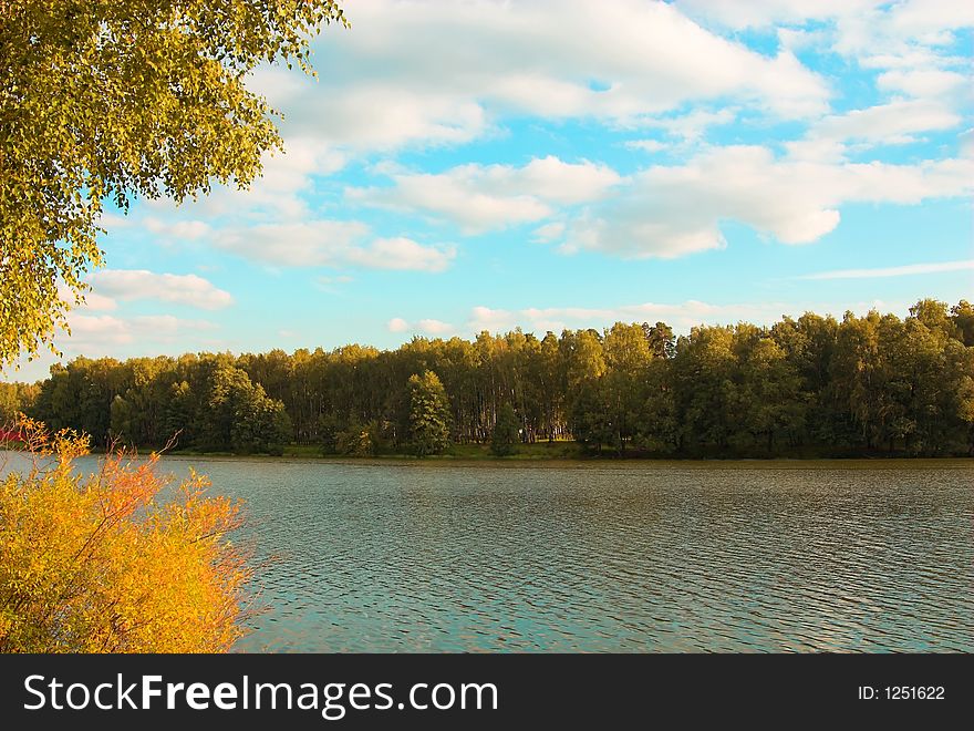 Golden Autumn