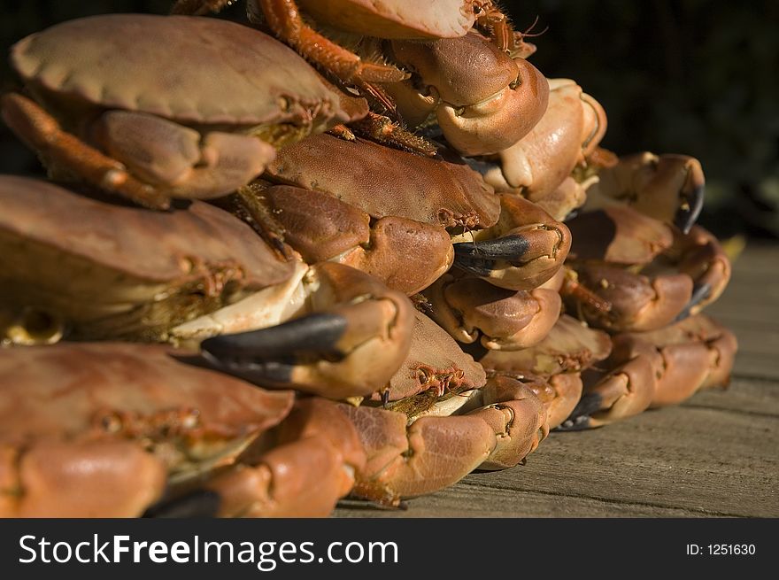 Cooked crabs stacked in a row