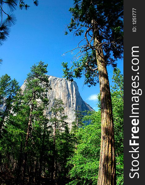 El Capitan is a 3,000 foot vertical rock formation in Yosemite Valley and Yosemite National Park. It is one of the most popular monoliths with rock climbers in the world. El Capitan is a 3,000 foot vertical rock formation in Yosemite Valley and Yosemite National Park. It is one of the most popular monoliths with rock climbers in the world.