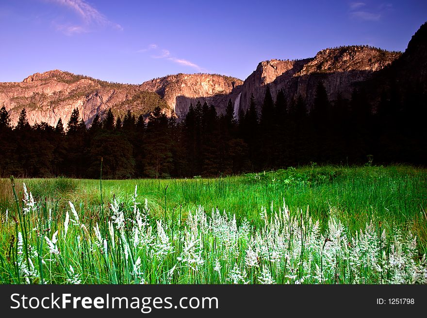 The Yosemite Valley in Yosemite National Park, California. The Yosemite Valley in Yosemite National Park, California