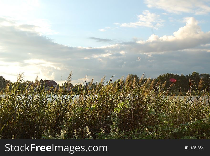 High grass at lake, sky, cloud, landscapes