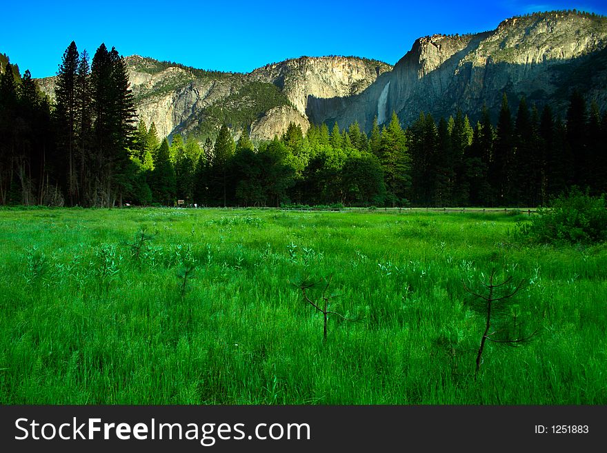 The Yosemite Valley in Yosemite National Park, California. The Yosemite Valley in Yosemite National Park, California