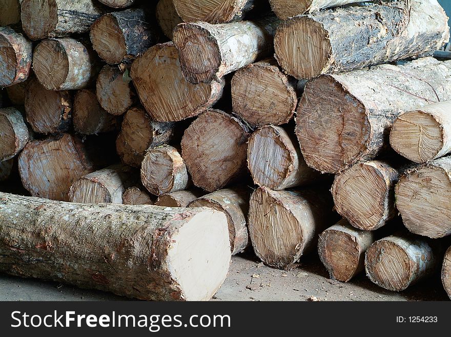 Stack of rubber tree logs. Stack of rubber tree logs