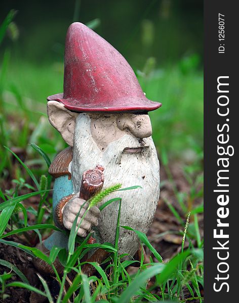 A wandering lawn gnome standing in the grass. A wandering lawn gnome standing in the grass