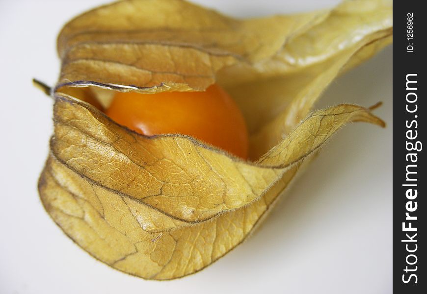 Some cape gooseberry on a white background