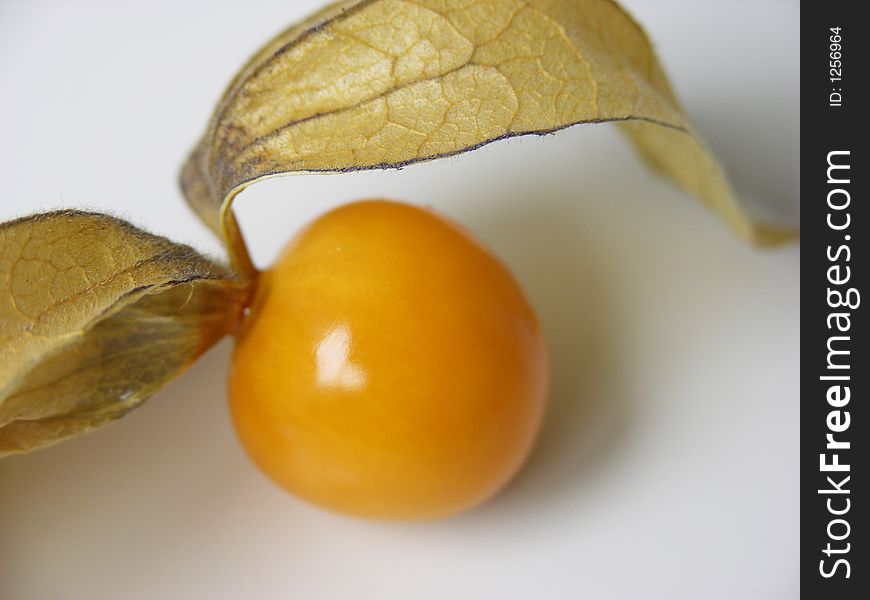 Some cape gooseberry on a white background