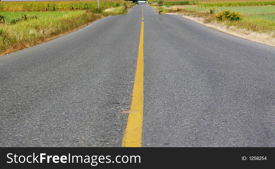 Low profile yellow line on road.