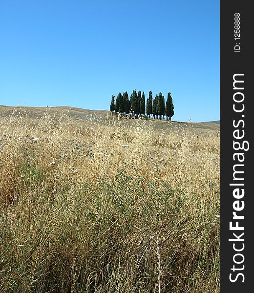 Scenic view in Tuscany, Italy