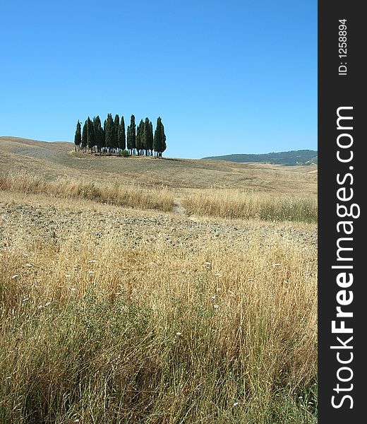 Scenic view in Tuscany, Italy