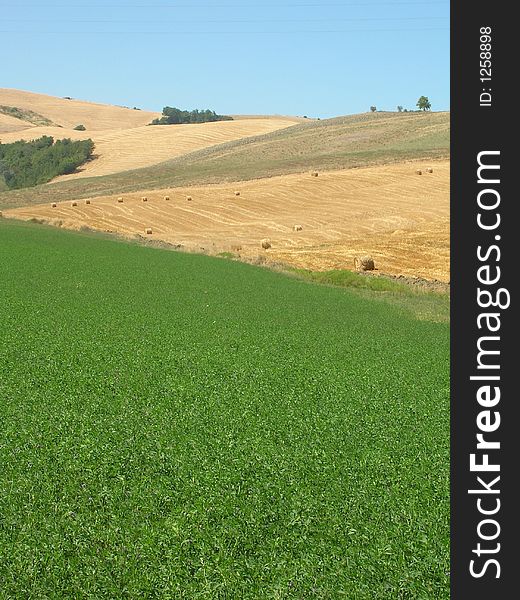 Scenic view in Tuscany, Italy