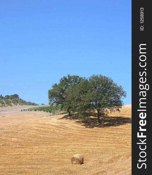 Scenic view in Tuscany, Italy