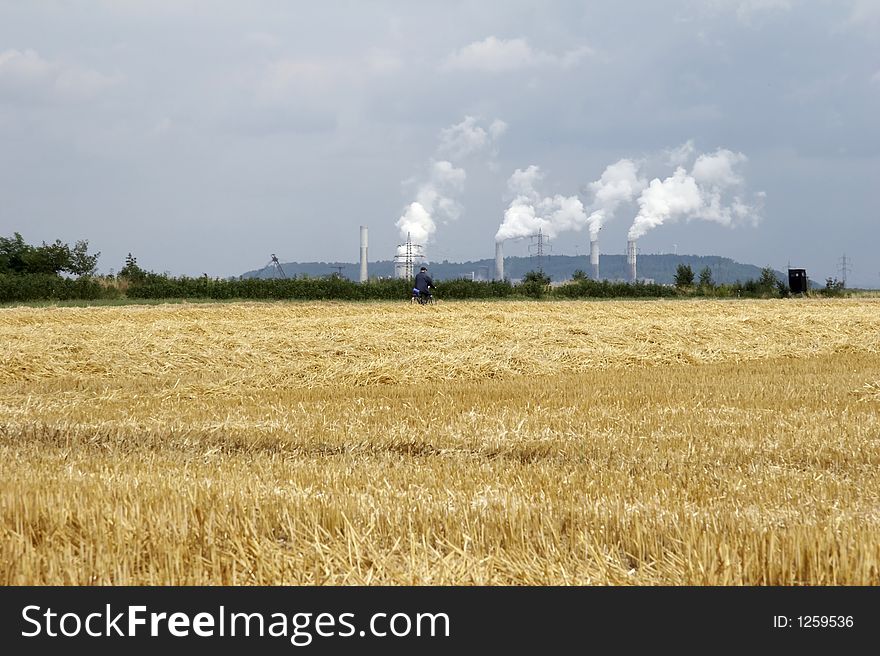 Harvest cornfield before power station