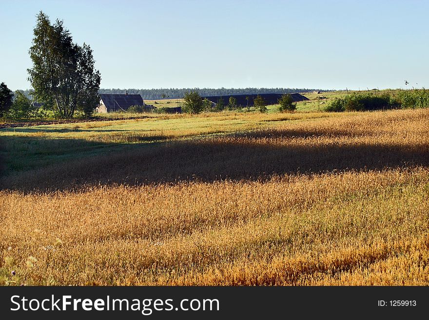 Agricultural autumn field