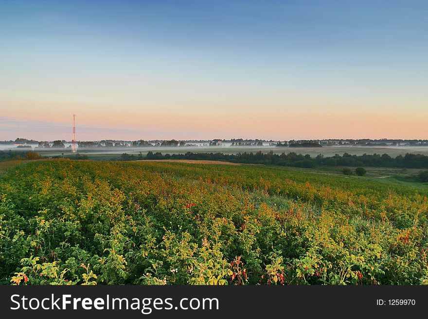 Agricultural autumn field, harvest, blue