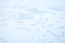 Footprints In The Snow Royalty Free Stock Photography Footprints In The Snow Royalty Free Stock Photography