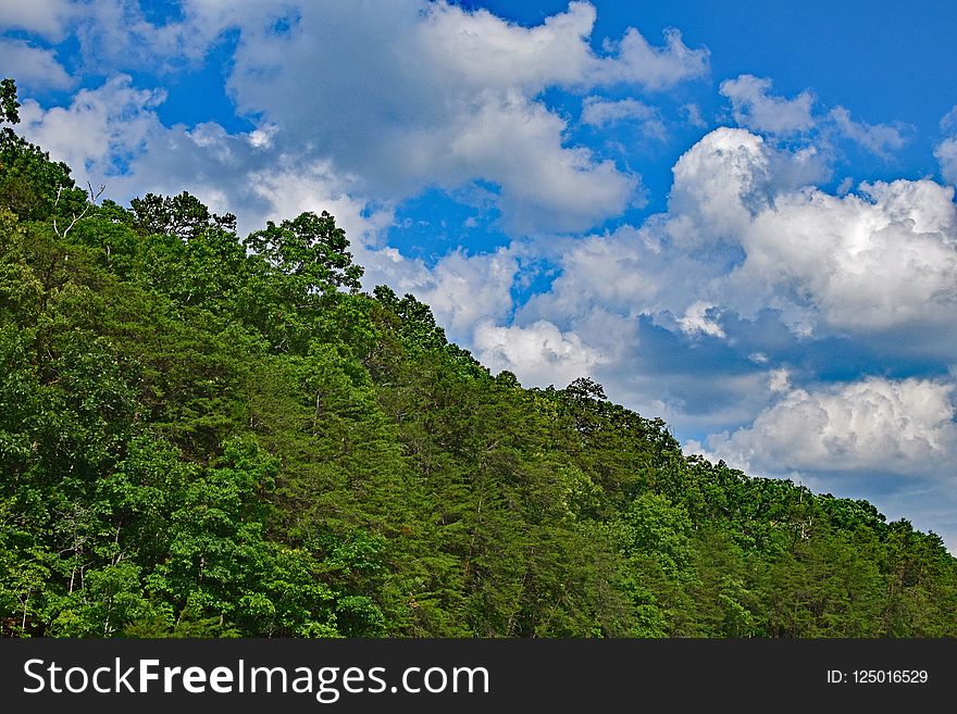 Sky, Vegetation, Cloud, Nature