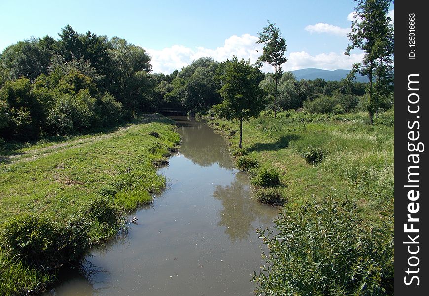 Waterway, Riparian Zone, Nature Reserve, Water Resources