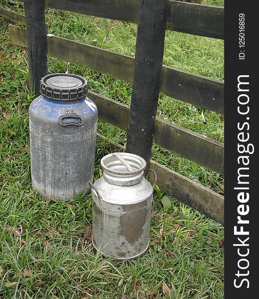 Drinkware, Grass, Water, Tree