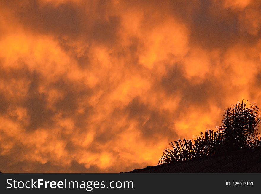 Sky, Red Sky At Morning, Afterglow, Cloud